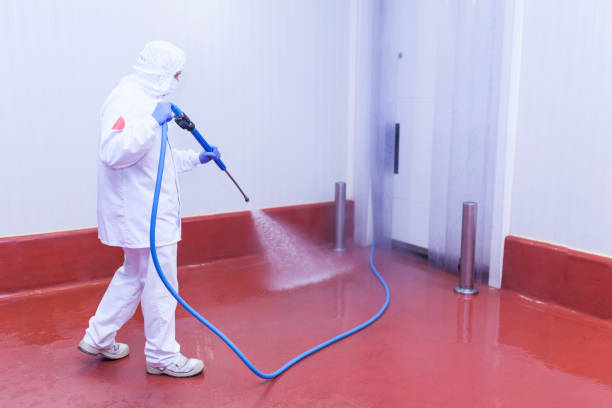 Reliable Waterville, NY Pressure Washing Solutions